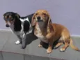 Kiara e Kira