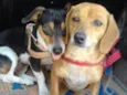 Kiara e Kira