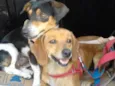 Kiara e Kira