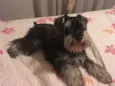 Nina