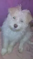 Zacarias