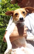 Simbá