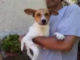 Simbá
