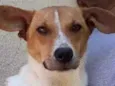 Simbá