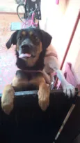 Pretinha e Pitucha