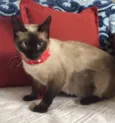 Mia