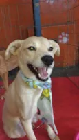Francisco