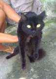 Júnior