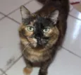 Fiona