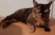 Fiona