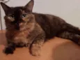 Fiona