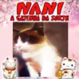 Nani