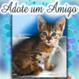 Fofinho