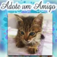 Fofinho