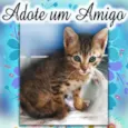 Fofinho