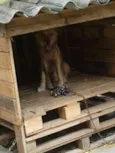 Ruskhy e Spaiky