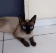 linda