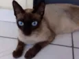 linda