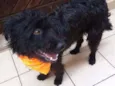 PAÇOCA