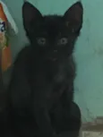 Sem nome