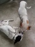 Zeus e Zé