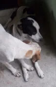Zeus e Zé