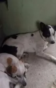 Zeus e Zé