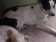 Zeus e Zé