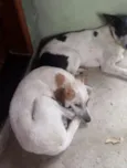 Zeus e Zé