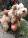 Nala