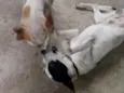 Zeus e Zé