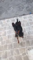 Fred