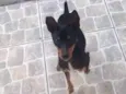 Fred