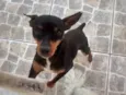 Fred