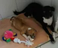 VITORIA E PAOLA