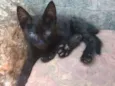 Pretinho e manchinha