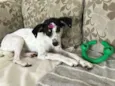 ANGEL!!!