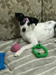 ANGEL!!!