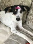 ANGEL!!!