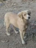 Xuxa