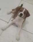 Lunna