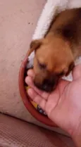 Nao tem