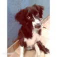 Cloe