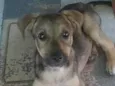 Bob