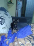 Neguinha e tchutchuc