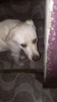 Spike