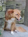 CHIQUINHA