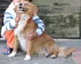 CHIQUINHA