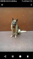Athena