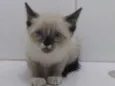 Menina